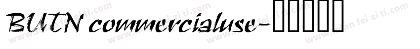 BUTN commercialuse字体转换